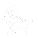 Pet Microchipping Icon